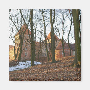Teutonic Order castle Neidenburg - Magnet