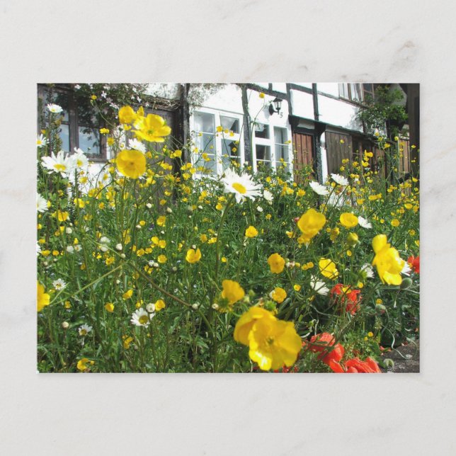 Tewkesbury cottages and Garden Postcard (Front)