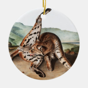 Texan Lynx (Lynx rufus var maculatus) Illustration Ceramic Tree Decoration