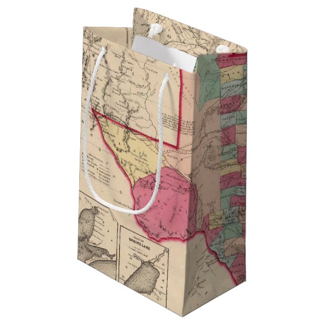 Texas 10 small gift bag (Back Angled)