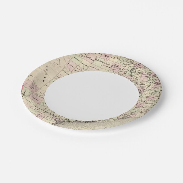 Texas 12 paper plate (Angled)
