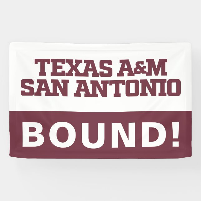 Texas A&M San Antonio Banner (Horizontal)