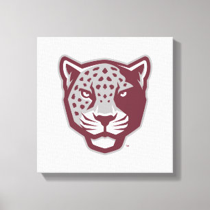 Texas A&M University-San Antonio Jaguars Canvas Print