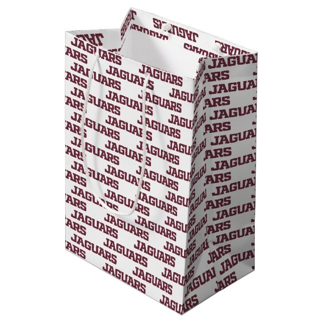 Texas A&M University-San Antonio Jaguars Medium Gift Bag (Front Angled)