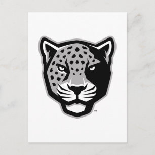 Texas A&M University-San Antonio   Jaguars Postcard
