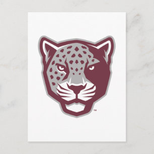 Texas A&M University-San Antonio   Jaguars Postcard