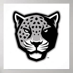 Texas A&M University-San Antonio Jaguars Poster