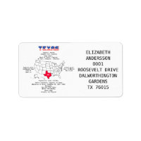 Texas American state on a map and useful info