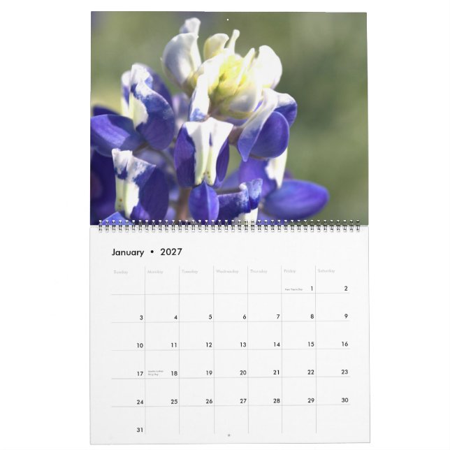 Texas Beauties: Create Your Own Bluebonnet Calendar (Jan 2027)