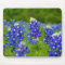 Texas Blue Bonnets mousepad