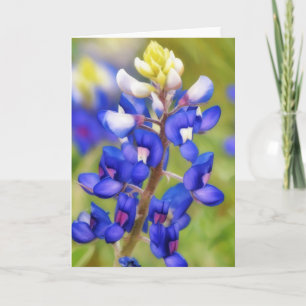 Texas Bluebonnet Blue Flower Art Note Card