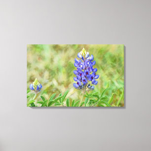 Texas Bluebonnet Flower Art Close Up Canvas Print
