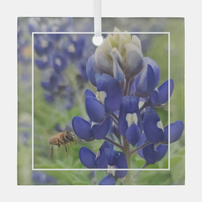 Texas Bluebonnet Glass Ornament (Front)