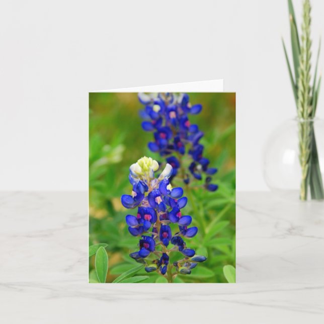 Texas Bluebonnet Note Card (Front)