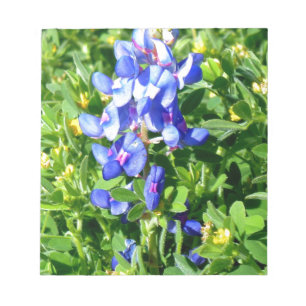 TEXAS BlueBonnet Notepad