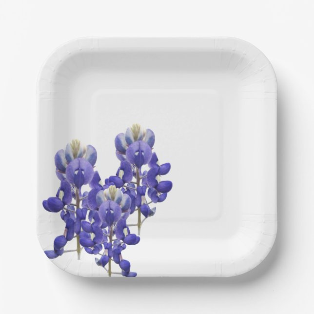Texas Bluebonnet Paper Plate (Front)