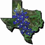 Texas Bluebonnet Pin Photo Sculpture Badge<br><div class="desc">State of Texas filled with bluebonnet photo</div>