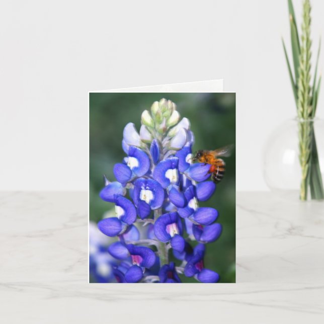 Texas Bluebonnet Thank You Card (Front)