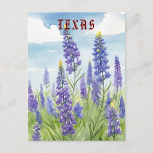 Texas Bluebonnet Vintage watercolor  Postcard