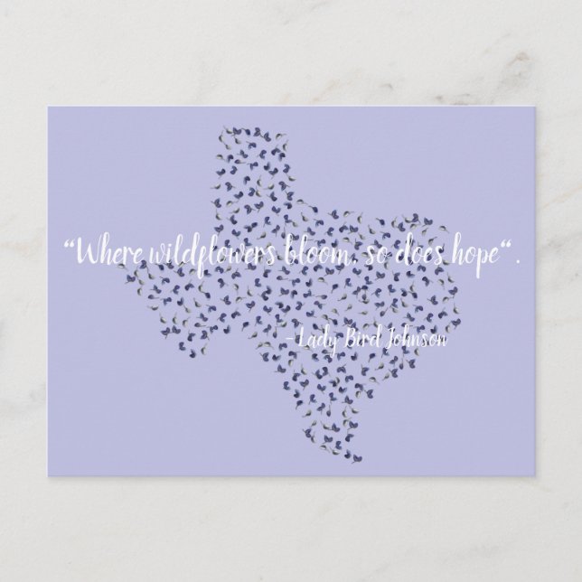 Texas Bluebonnet Wildflowers Postcard (Front)
