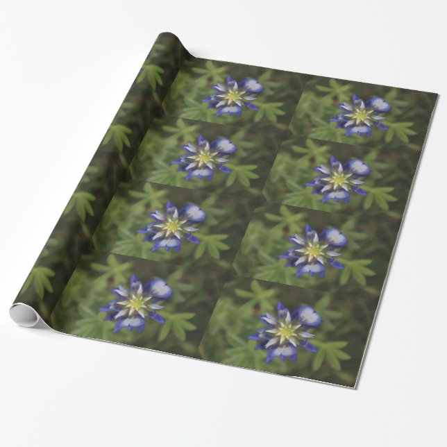 Texas Bluebonnet Wrapping Paper (Unrolled)