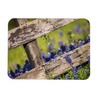 Texas Bluebonnets Around A Country Fence