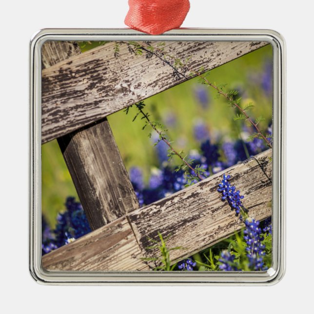 Texas Bluebonnets Around A Country Fence Metal Tree Decoration (Front)