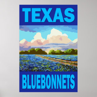 Texas Bluebonnets Art Poster