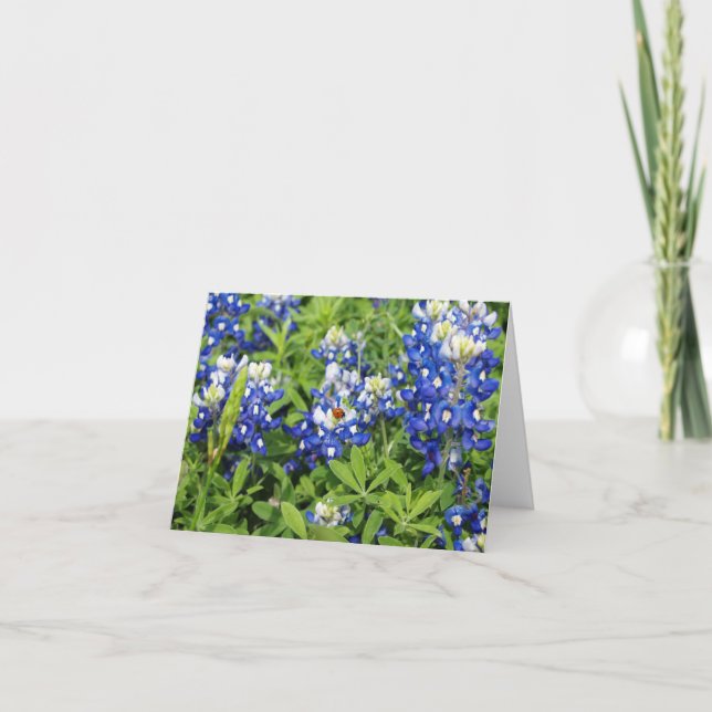 Texas Bluebonnets Card (Front)