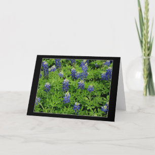 "Texas Bluebonnets" Card