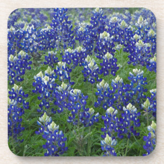 Texas Bluebonnets Field Photo Coaster