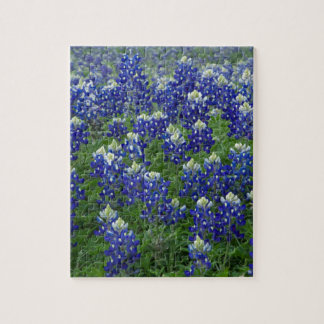 Texas Bluebonnets Field Photo Jigsaw Puzzle