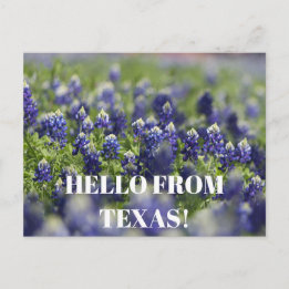 Texas Bluebonnets Flower Wildflower Blue Floral  Postcard