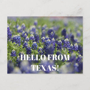 Texas Bluebonnets Flower Wildflower Blue Floral  Postcard