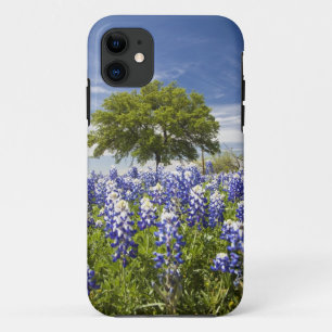 Texas bluebonnets(lupinus texensis) and oak Case-Mate iPhone case
