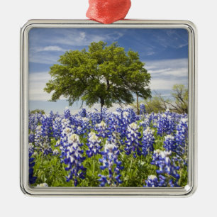 Texas bluebonnets(lupinus texensis) and oak metal tree decoration