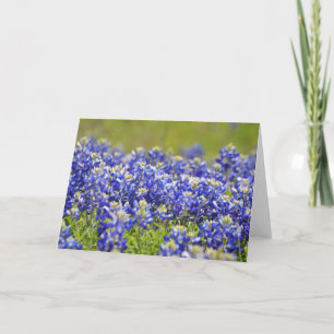 Texas Bluebonnets Note Card