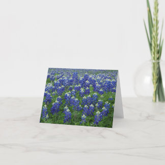 Texas Bluebonnets Photo Blank Card