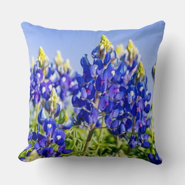 Texas Bluebonnets Pillow (Front)