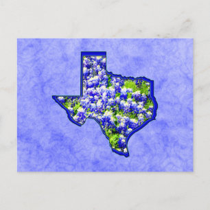 TEXAS BLUEBONNETS POSTCARD