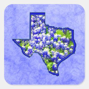 TEXAS BLUEBONNETS SQUARE STICKER