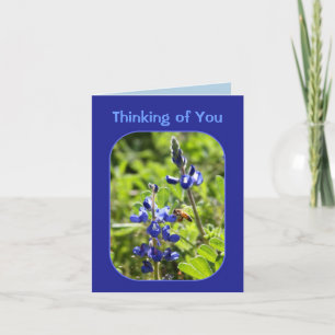 Texas Bluebonnets Thinking of You Card