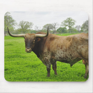 Texas Burnt Orange Longhorn Steer Mouse Pad