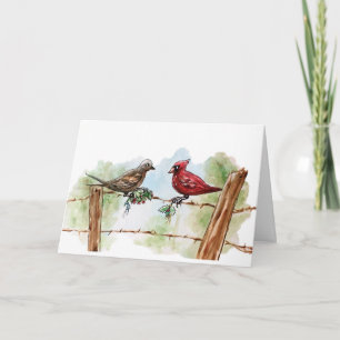 Texas Cardinal Christmas Card