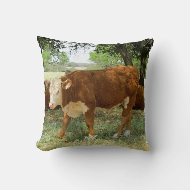 Texas Cow Cushion (Front)