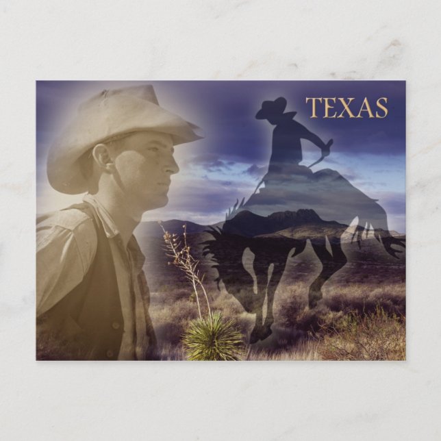 Texas Cowboy Postcard (Front)