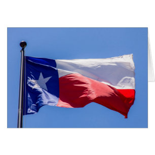 Texas Flag