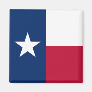 Texas Flag: Longhorns, The Texan Lone Star State Magnet