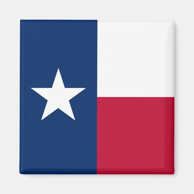 Texas Flag: Longhorns, The Texan Lone Star State Magnet (Front)