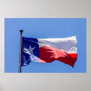 Texas Flag Poster